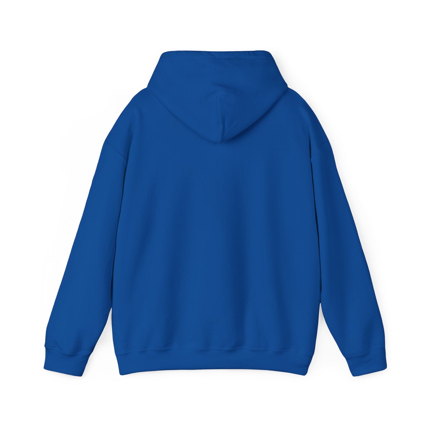 Jesus is my Advocate Hoodie