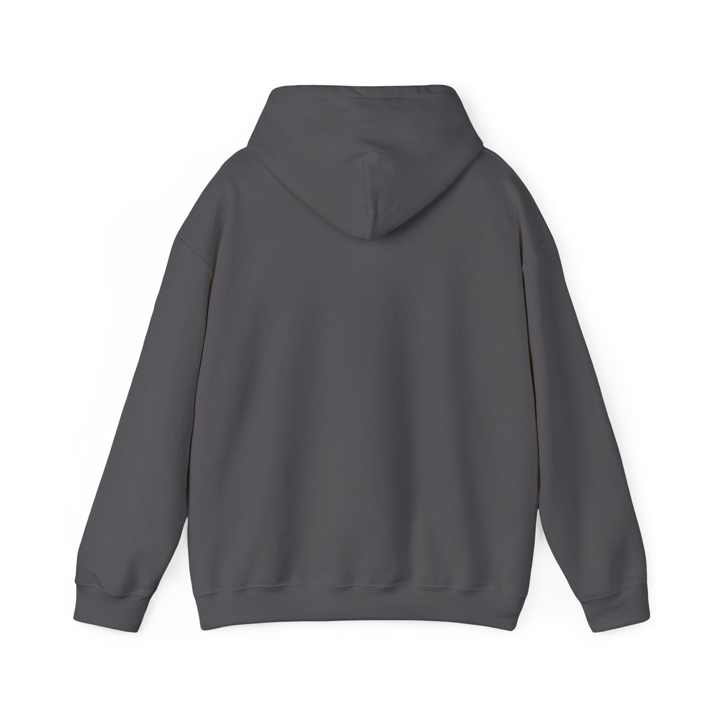 Jesus is my Advocate Hoodie