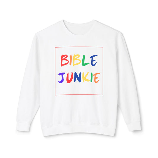 Bible Junkie Box Sweatshirt